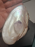 Shiny shiny magik shells
