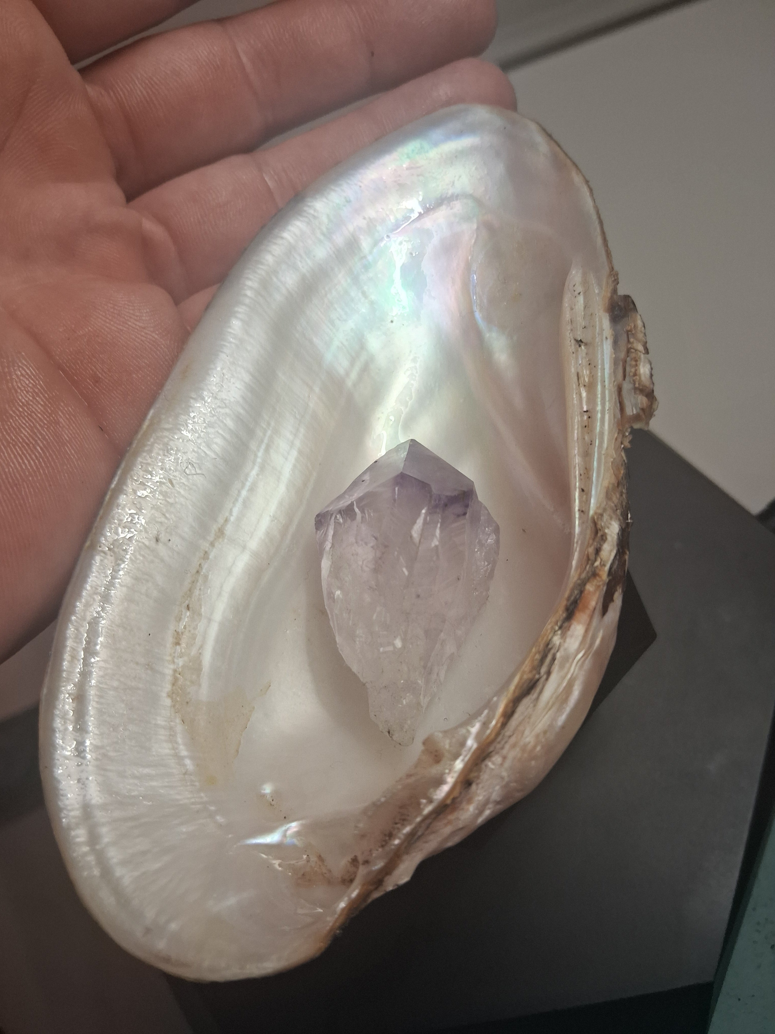 Shiny shiny magik shells